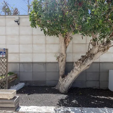 Apartament Complejo Aloe - Pool - Close To Maspalomas *